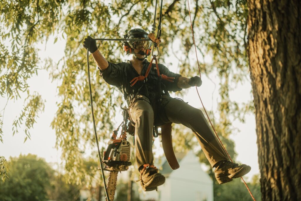 Precision Rigging & Climbing
