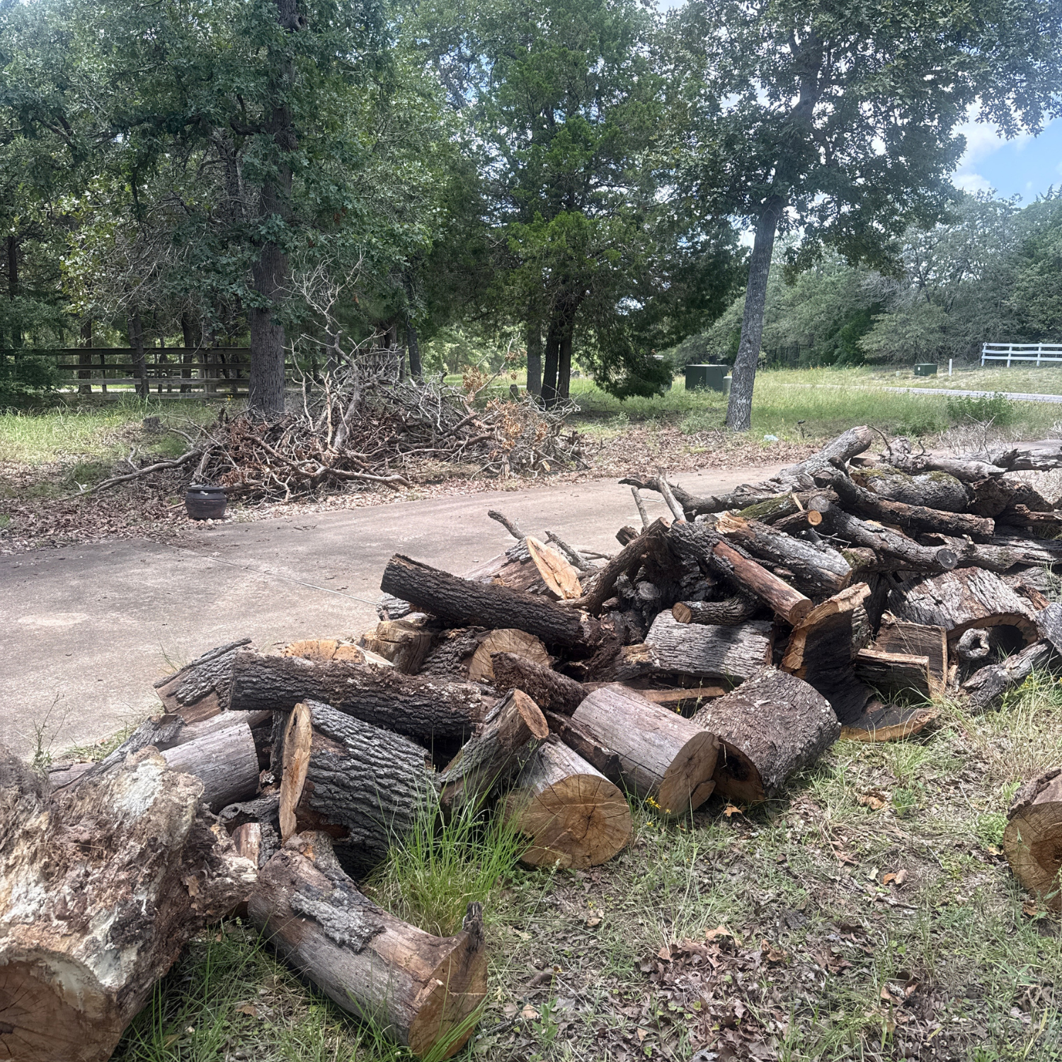 Untitled design (7) Tree trimming Austin TX